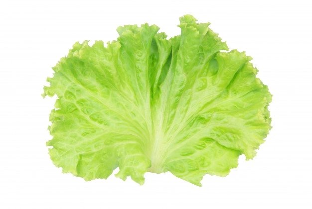 lettuce_incompletesky