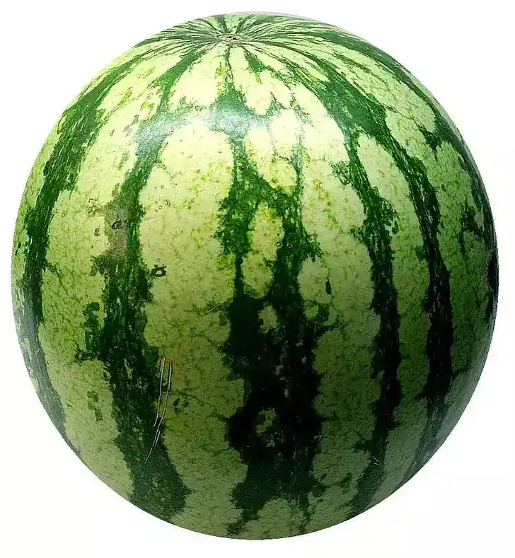 watermelon_incompletesky